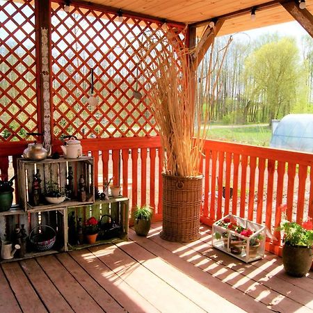 Losiowate Gospodarstwo Agroturystyczne Rybaki  Exteriér fotografie