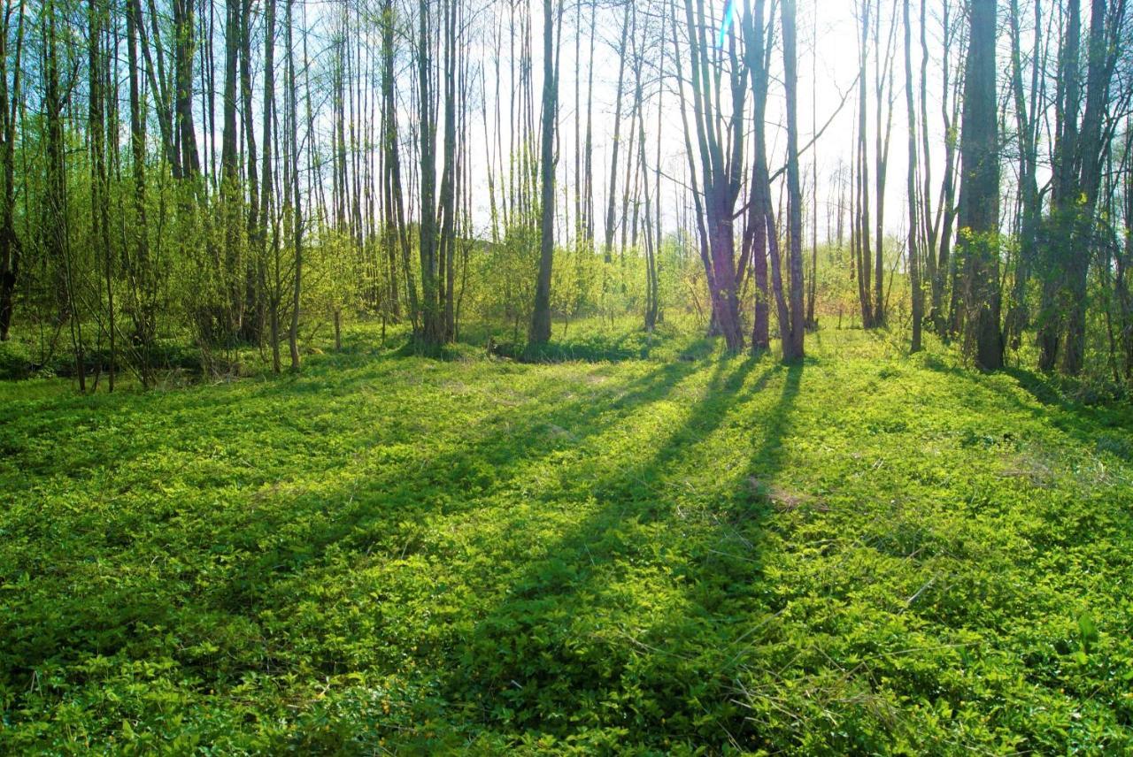 Losiowate Gospodarstwo Agroturystyczne Rybaki  Exteriér fotografie