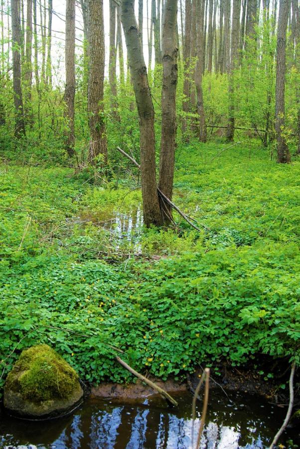 Losiowate Gospodarstwo Agroturystyczne Rybaki  Exteriér fotografie