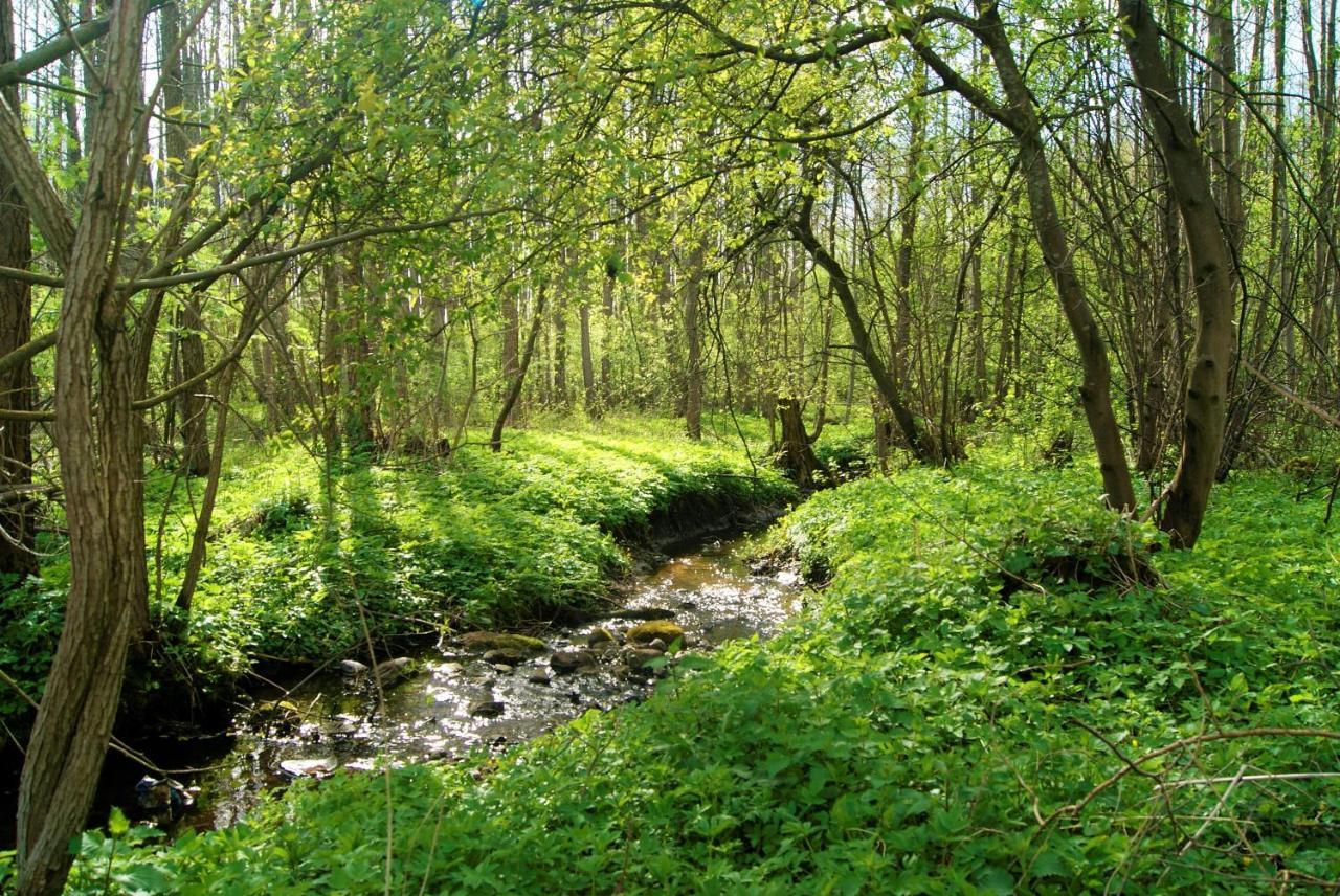 Losiowate Gospodarstwo Agroturystyczne Rybaki  Exteriér fotografie