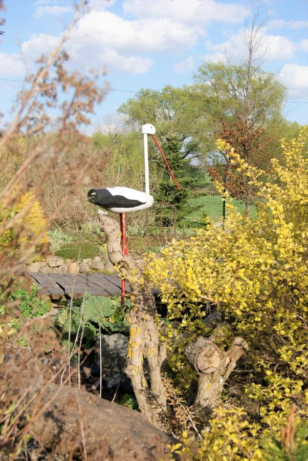 Losiowate Gospodarstwo Agroturystyczne Rybaki  Exteriér fotografie
