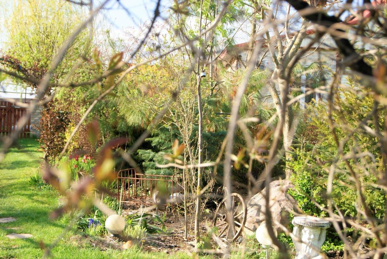 Losiowate Gospodarstwo Agroturystyczne Rybaki  Exteriér fotografie